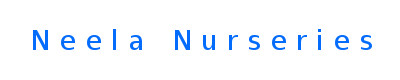oc nn test store